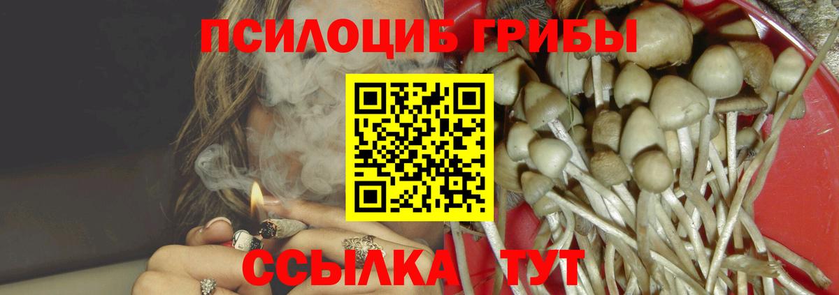 Можга  закладка  Вход с VPN  Псилоцибиновые грибы Psilocybe 