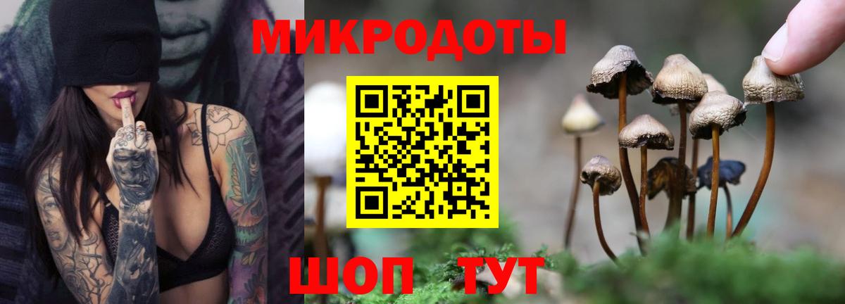 Псилоцибиновые грибы Magic Shrooms Можга